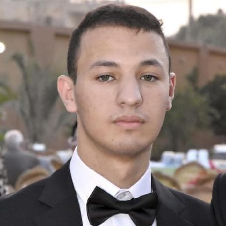 Mohamed Magdy Dewidar