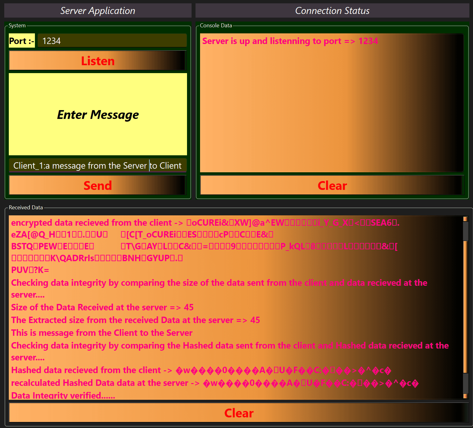 Server-side data verification and decryption process